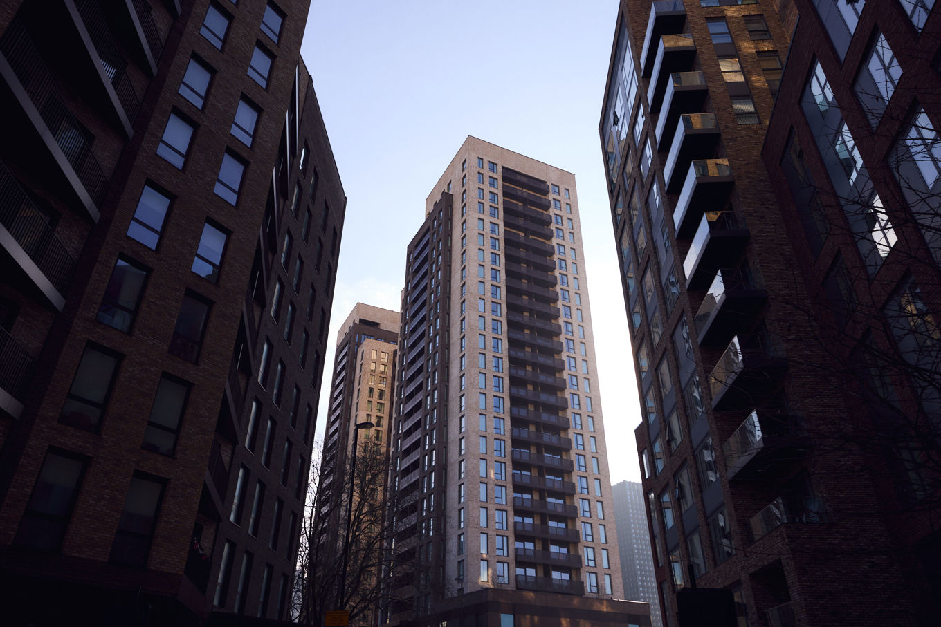 Blososms Mar2025 Exterior 033