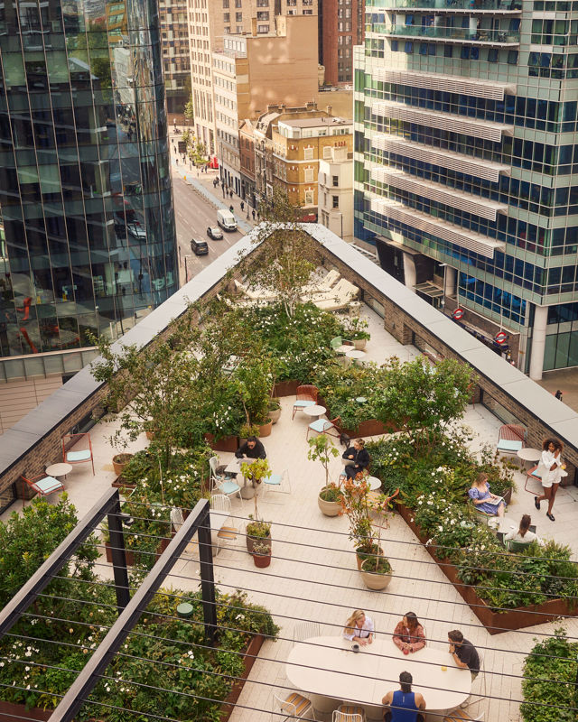 Standby Front Page Back Page