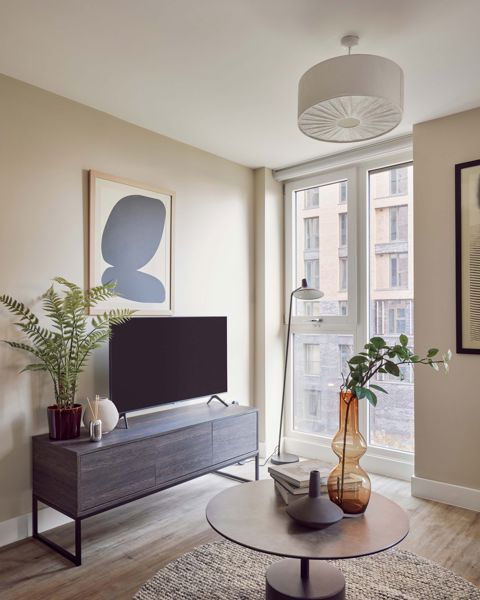 Native Junction Jan2023 0408